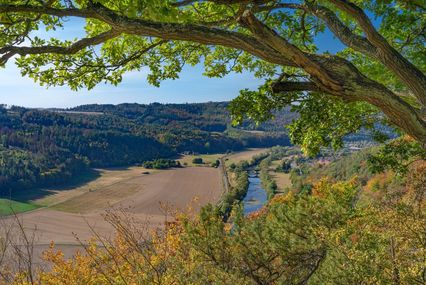 Genieten van de omgeving!