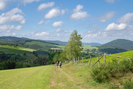 Wandelen in het Sauerland