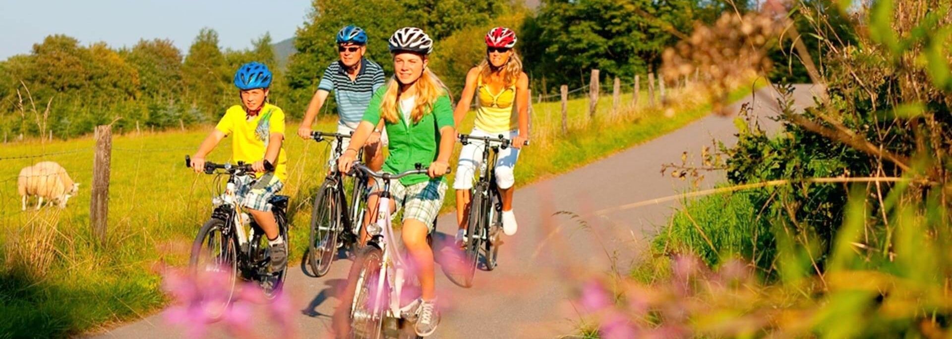 Ferienpark Frankenau panorama ferienpark 10.jpg