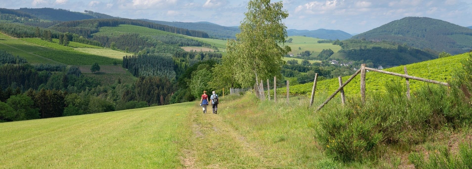 Ferienpark Frankenau panorama ferienpark 09A.jpg