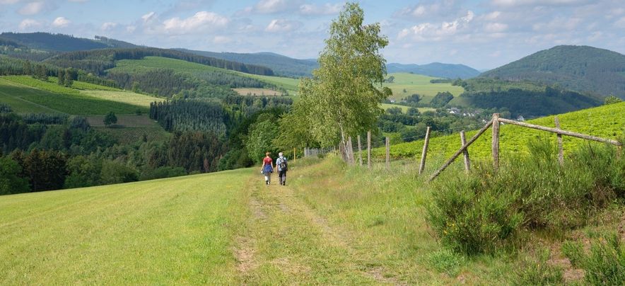 Ferienpark Frankenau panorama ferienpark 09A.jpg