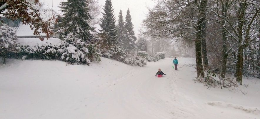 Ferienpark Frankenau wintersport Sauerland 04