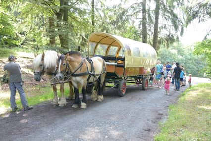 Huifkartocht en paardrijden