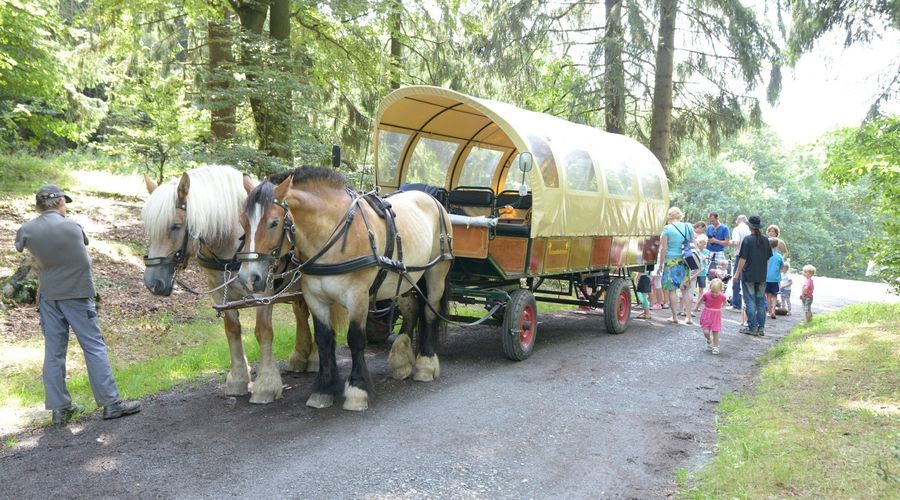 Ferienpark Frankenau huifkartocht paardrijden 01