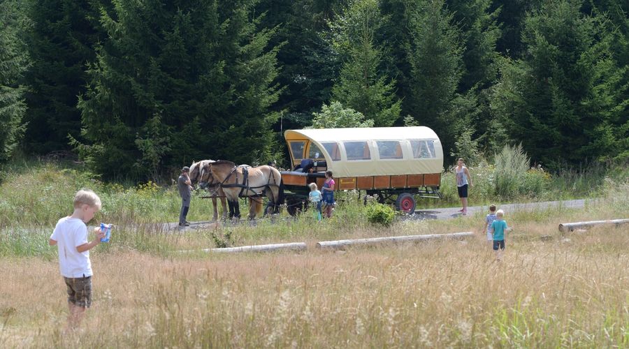 Ferienpark Frankenau huifkartocht paardrijden 02