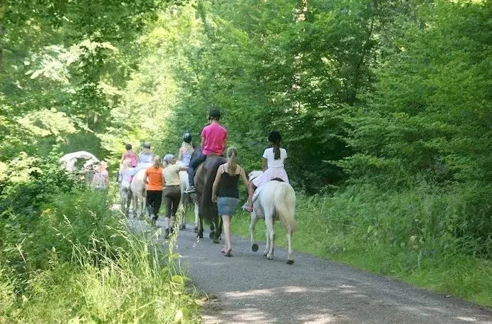 Ferienpark Frankenau huifkartocht paardrijden 03